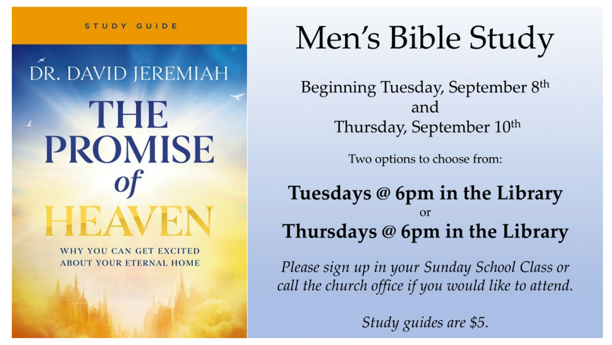 MENSBIBLESTUDY